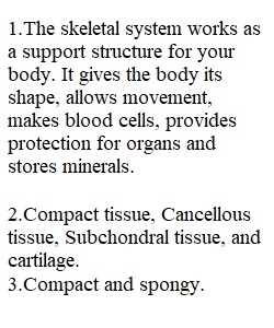 Module 6 Assignment